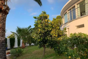 listing-small